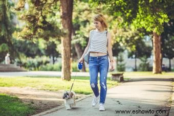 ¿Con qué frecuencia pasea a su perro? 5 factores a considerar