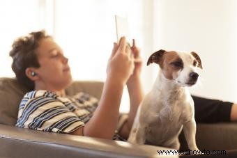 ¿Tiene dolor su perro? 14 señales a tener en cuenta