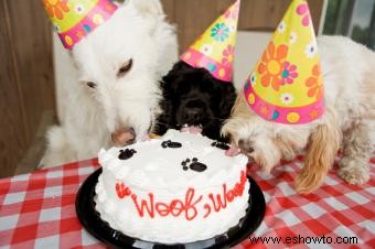 2 recetas de pasteles de cumpleaños para perros