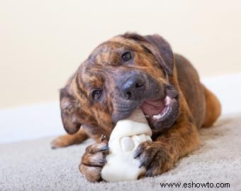 ¿Los masticables de cuero sin curtir o piel de res son buenos para los perros?