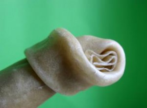 ¿Son seguros los masticables de cuero crudo o rawhide para perros? Beneficios, riesgos y consejos