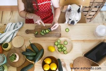 ¿Pueden los perros tener pepinos? Explorando estas delicias bajas en calorías 