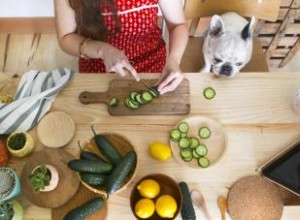 ¿Pueden los perros tener pepinos? Explorando estas delicias bajas en calorías 