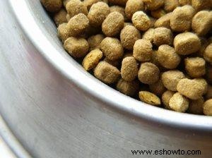 Recetas de comida para perros para croquetas y pastel de carne 