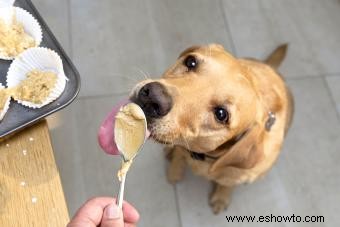 ¿La mantequilla de maní es buena para los perros? Qué tipos usar (y evitar) 