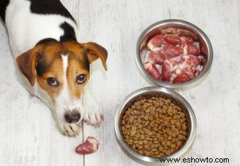Fuentes de proteínas para perros 