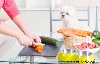 Consejos para hacer comida casera para perros 
