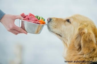 Los 9 alimentos para perros más saludables 