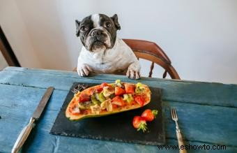 ¿Qué frutas son buenas para los perros?