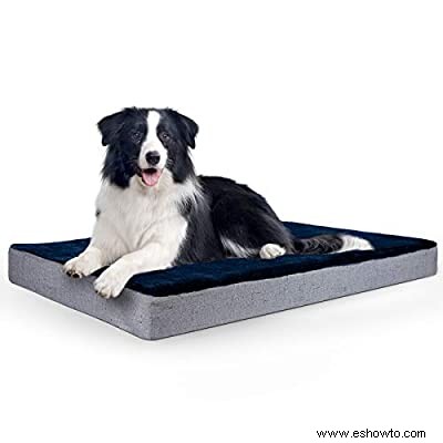 15 mejores camas para perros para cachorros de todas las formas y tamaños