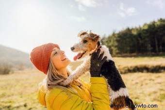 7 actividades divertidas para ti y tu perro