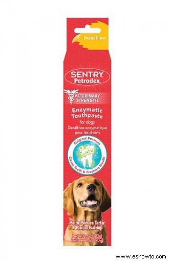 Las mejores marcas de pasta de dientes para perros para una salud bucal óptima