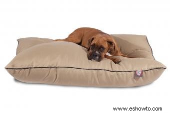 Cómo elegir el tipo adecuado de cama para perros para su mascota