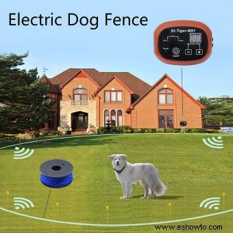 ¿Funcionan las vallas eléctricas para perros?