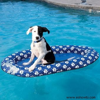 Fantásticos juguetes acuáticos para perros