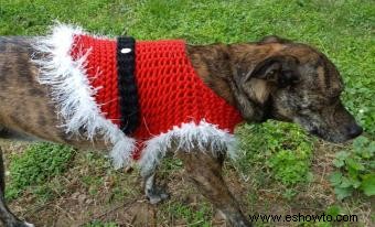 Patrones de suéteres navideños para perros gratis