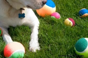 Cómo hacer pelotas de tenis caseras con menta