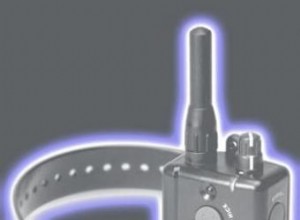 Guía esencial sobre collares eléctricos para perros: mitos, funcionamiento y uso seguro
