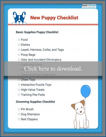 Lista de verificación para cachorros nuevos:una guía práctica sobre qué comprar