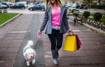 Pros y contras de usar correas retráctiles para perros