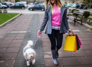 Ventajas y desventajas de las correas retráctiles para perros: Guía experta para un uso seguro