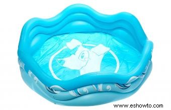 Diez razones para comprar una piscina infantil para su perro