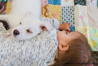 Cómo preparar a tu cachorro para la llegada del bebé