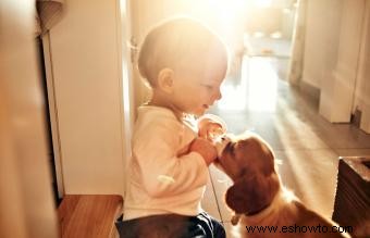 Cómo preparar a tu cachorro para la llegada del bebé