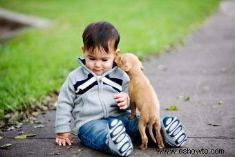 Cómo preparar a tu cachorro para la llegada del bebé