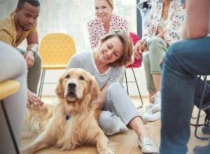 Guía Completa para Socializar a tu Perro: Consejos Expertos para Cachorros y Adultos