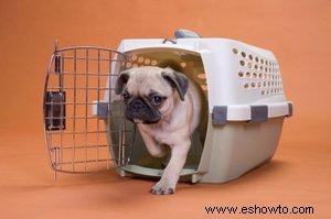 Cómo preparar a su perro para viajar en una jaula