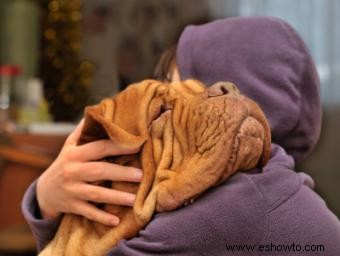 Mastín francés alias Dogo de Burdeos