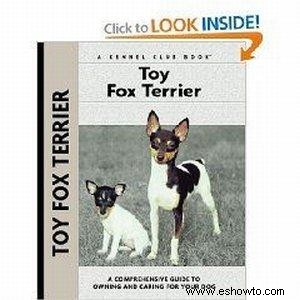 Todo sobre el juguetón fox terrier de juguete