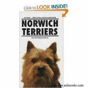 Información de la raza del perro Terrier de Norwich