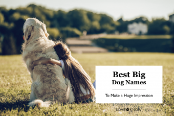 Los mejores nombres de perros grandes para causar una gran impresión