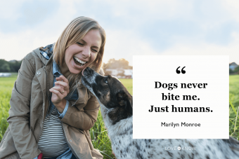 68 frases originales sobre perros preparadas para los amantes de los cachorros