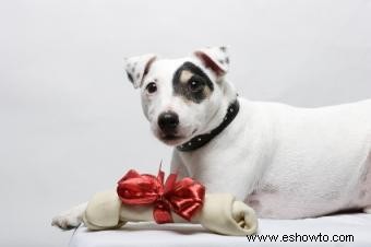 Ideas de regalos de Navidad para perros y amantes de los perros