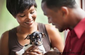 Nombres inteligentes para perros