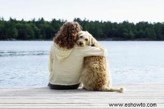 Perros de apoyo emocional:beneficios y pautas