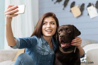 Cómo tomar una gran foto con tu perro