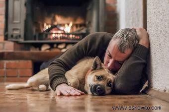 Cómo tomar una gran foto con tu perro