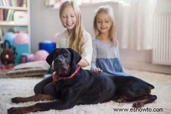 Perros protectores de familia