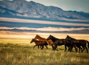 Ciclo de Vida del Caballo:Etapas y Cuidados