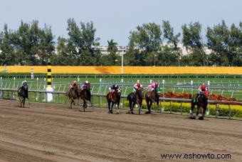 Guía de tipos de carreras de caballos (lo bueno y lo malo)