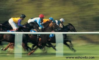 Guía de tipos de carreras de caballos (lo bueno y lo malo)