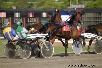 Guía de tipos de carreras de caballos (lo bueno y lo malo)