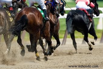 Guía de tipos de carreras de caballos (lo bueno y lo malo)