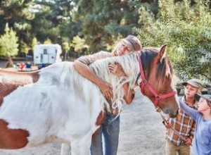 12 destinos para acampar a caballo en California