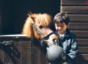 Guía Completa para Niños en la Equitación: Beneficios, Costos, Elección de Establo y Seguridad