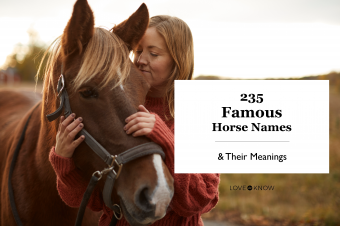235 nombres de caballos famosos y sus significados